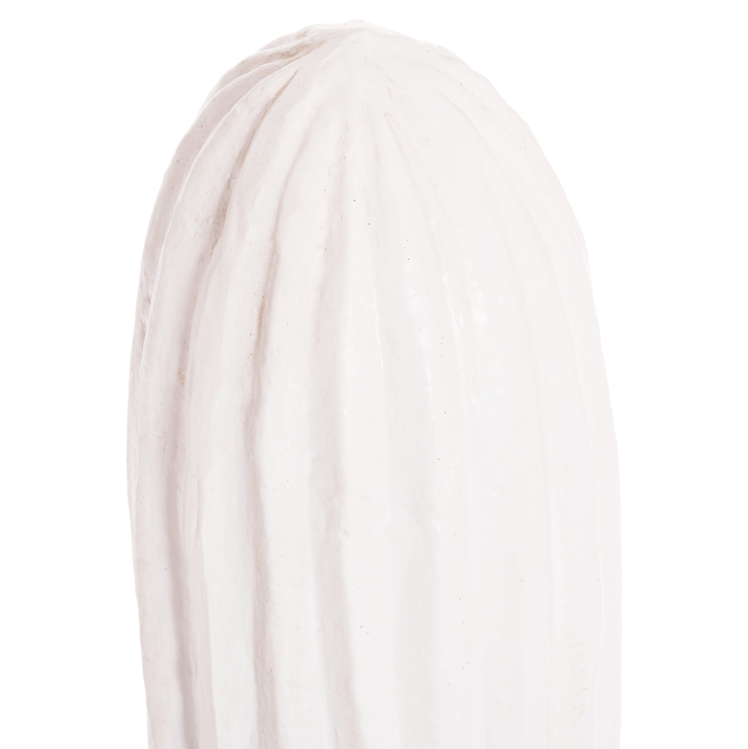 ΔΙΑΚΟΣΜΗΤΙΚΟΣ ΚΑΚΤΟΣ ΔΑΠΕΔΟΥ CACTUS HM4386.02M ΓΥΨΟΣ ΣΕ ΛΕΥΚΟ 54x34x103Υεκ.