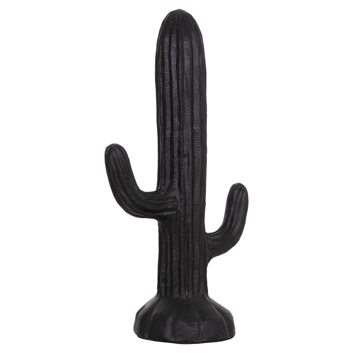 ΔΙΑΚΟΣΜΗΤΙΚΟΣ ΚΑΚΤΟΣ ΔΑΠΕΔΟΥ CACTUS HM4386.01M ΓΥΨΟΣ ΣΕ ΜΑΥΡΟ 54x34x103Υεκ.