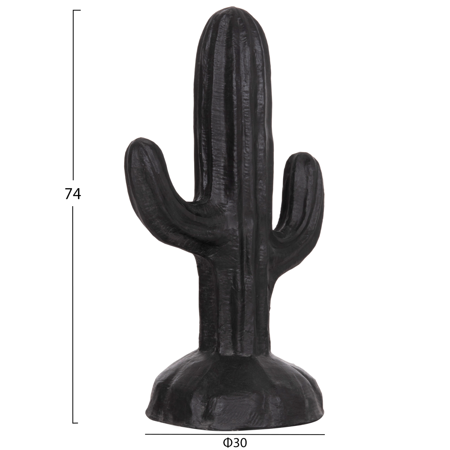 ΔΙΑΚΟΣΜΗΤΙΚΟΣ ΚΑΚΤΟΣ ΔΑΠΕΔΟΥ CACTUS HM4386.01S ΓΥΨΟΣ ΣΕ ΜΑΥΡΟ 42x30x74Υεκ.