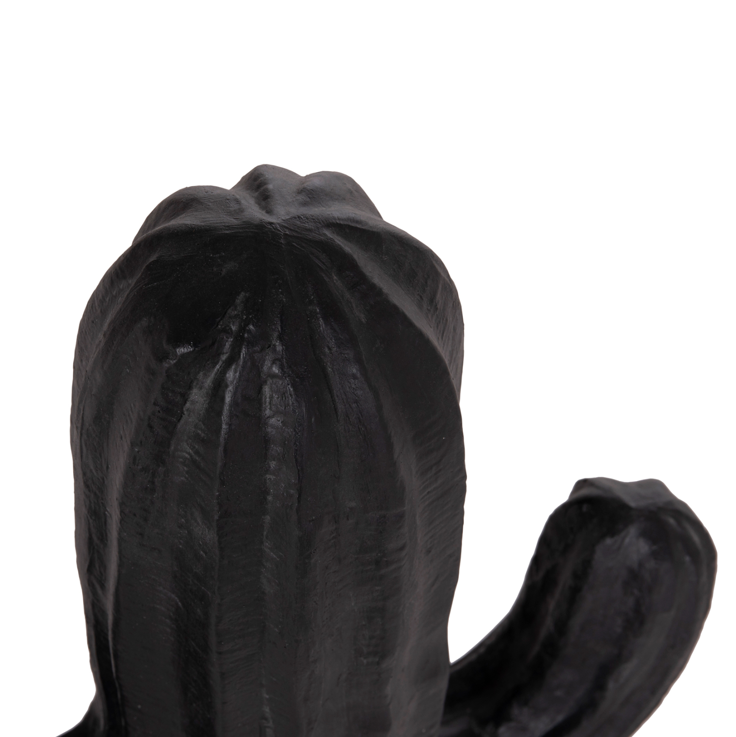 ΔΙΑΚΟΣΜΗΤΙΚΟΣ ΚΑΚΤΟΣ ΔΑΠΕΔΟΥ CACTUS HM4386.01S ΓΥΨΟΣ ΣΕ ΜΑΥΡΟ 42x30x74Υεκ.