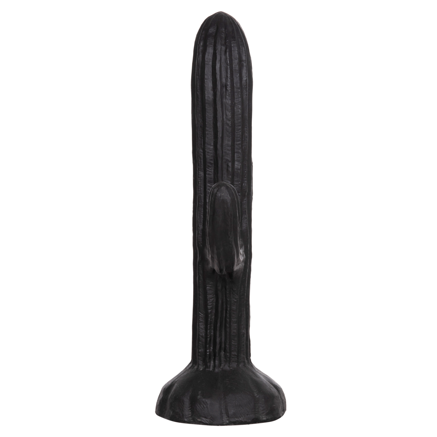 ΔΙΑΚΟΣΜΗΤΙΚΟΣ ΚΑΚΤΟΣ ΔΑΠΕΔΟΥ CACTUS HM4386.01L ΓΥΨΟΣ ΣΕ ΜΑΥΡΟ 63x37x150Υεκ.