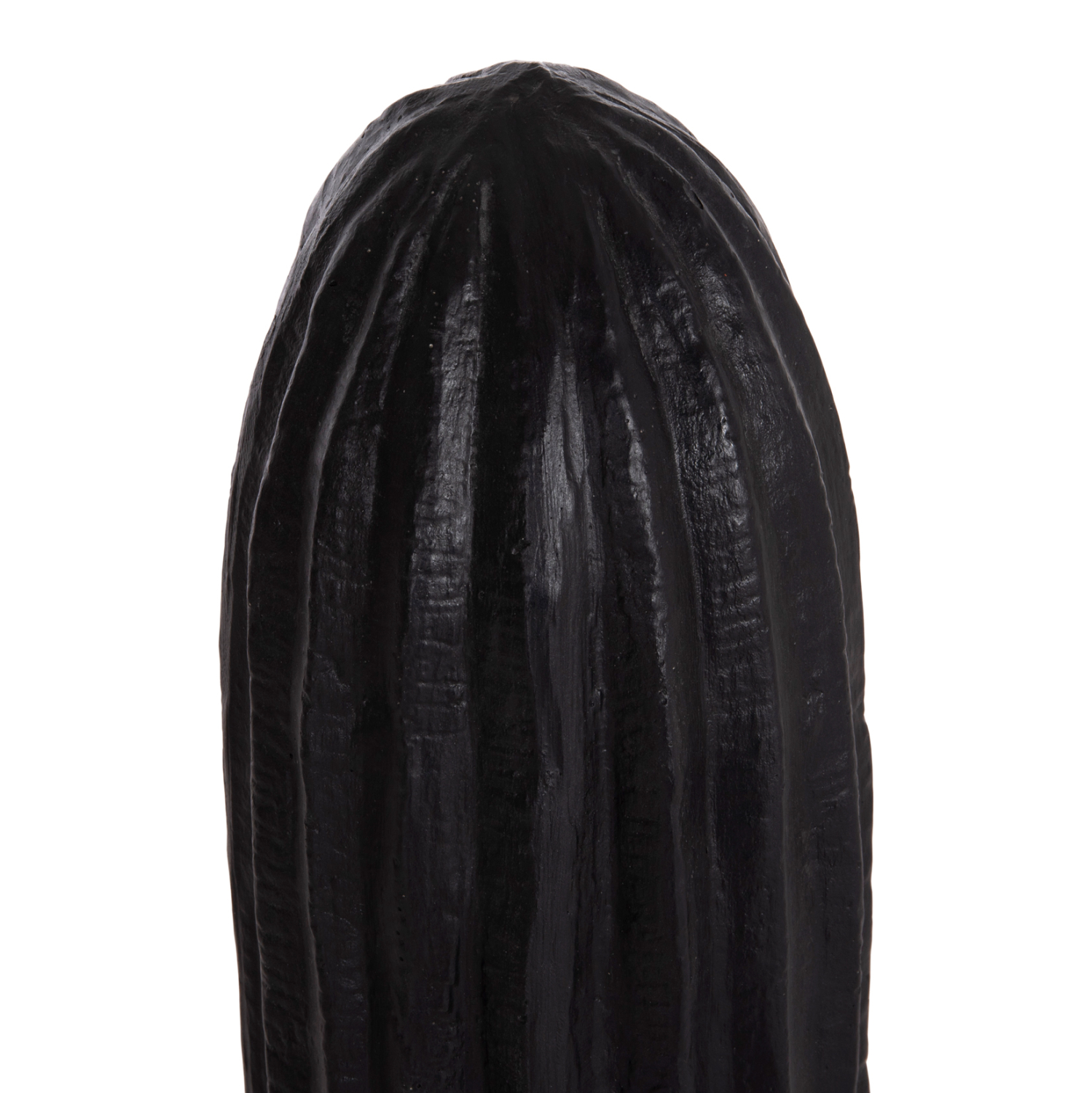 ΔΙΑΚΟΣΜΗΤΙΚΟΣ ΚΑΚΤΟΣ ΔΑΠΕΔΟΥ CACTUS HM4386.01L ΓΥΨΟΣ ΣΕ ΜΑΥΡΟ 63x37x150Υεκ.