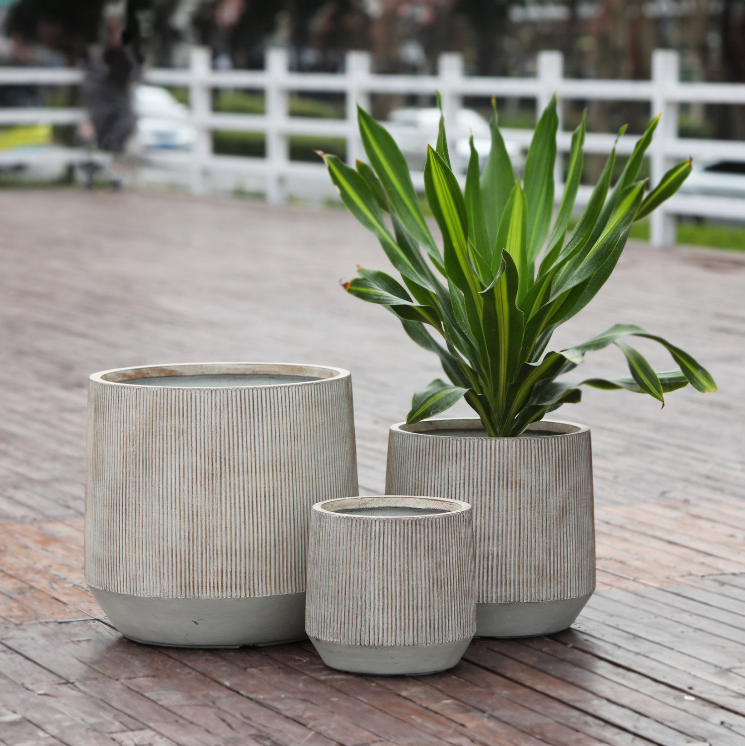 ΣΕΤ 3ΤΜΧ ΓΛΑΣΤΡΕΣ ΣΤΡΟΓΓΥΛΕΣ ΣΕΙΡΑ GARDENER HM4724 FIBERCLAY-ΧΡΩΜΑ CEMENT Φ55x55Υεκ