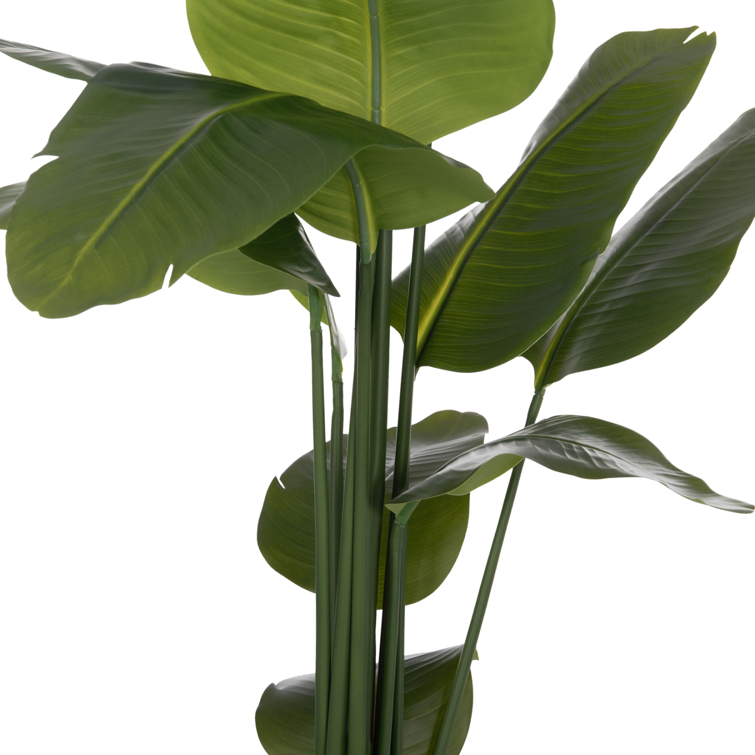 ΔΙΑΚΟΣΜΗΤΙΚΟ ΣΥΝΘΕΤΙΚΟ ΦΥΤΟ HM4739 ΣΤΡΕΛΙΤΣΙΑ ΣΕ ΓΛΑΣΤΡΑ Φ18x172Υεκ.