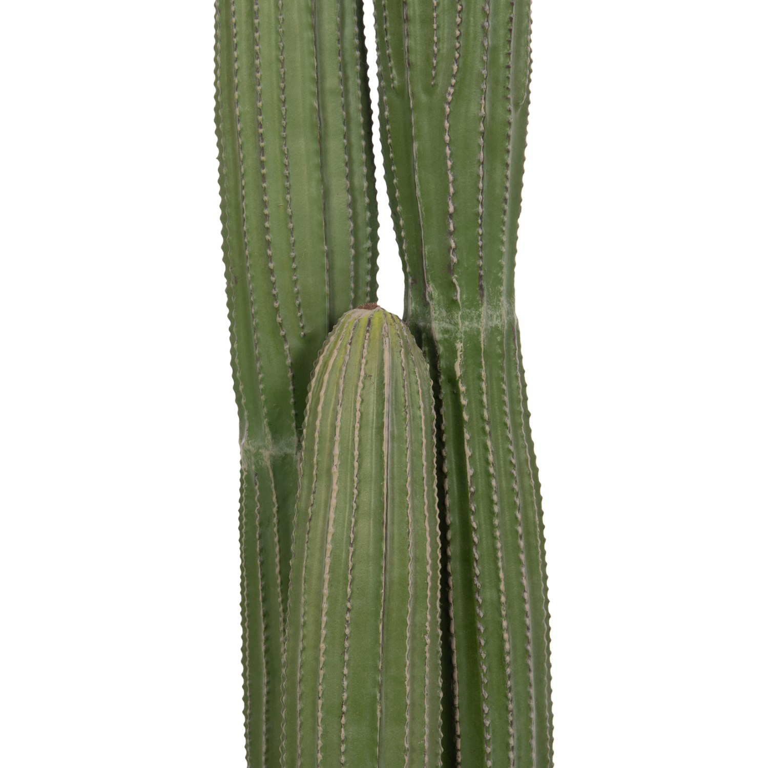 ΔΙΑΚΟΣΜΗΤΙΚΟ ΣΥΝΘΕΤΙΚΟ ΦΥΤΟ HM4744 ΚΑΚΤΟΣ ΜΕ ΓΛΑΣΤΡΑ Φ17,5x105Υεκ.