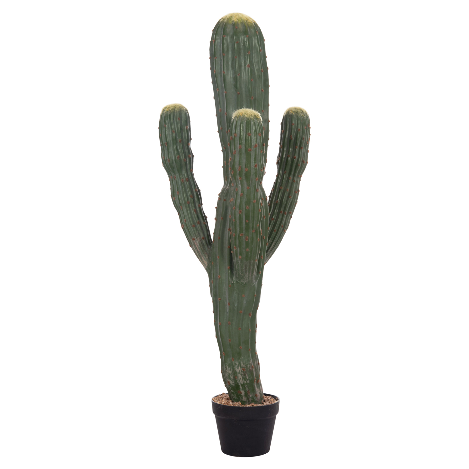 ΔΙΑΚΟΣΜΗΤΙΚΟ ΣΥΝΘΕΤΙΚΟ ΦΥΤΟ HM4746 ΚΑΚΤΟΣ ΜΕ ΓΛΑΣΤΡΑ 17,5x42x113Υεκ.