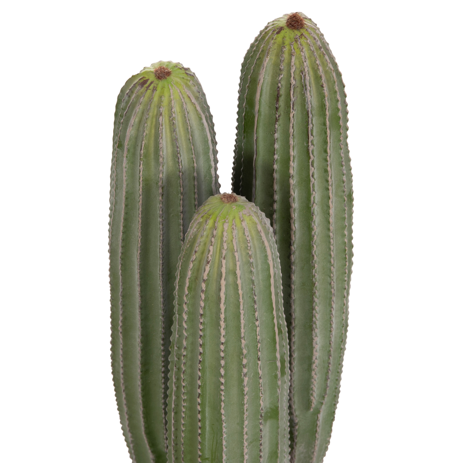 ΔΙΑΚΟΣΜΗΤΙΚΟ ΣΥΝΘΕΤΙΚΟ ΦΥΤΟ HM4743 ΚΑΚΤΟΣ ΜΕ ΓΛΑΣΤΡΑ Φ16x62Υεκ.