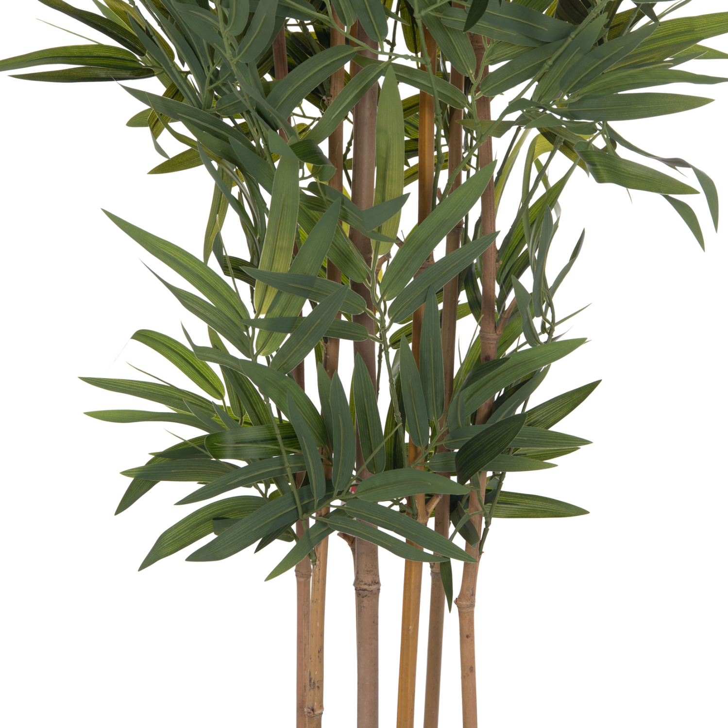 ΔΙΑΚΟΣΜΗΤΙΚΟ ΣΥΝΘΕΤΙΚΟ ΦΥΤΟ HM4737 BAMBOO ΣΕ ΓΛΑΣΤΡΑ 20x95x200Υεκ.