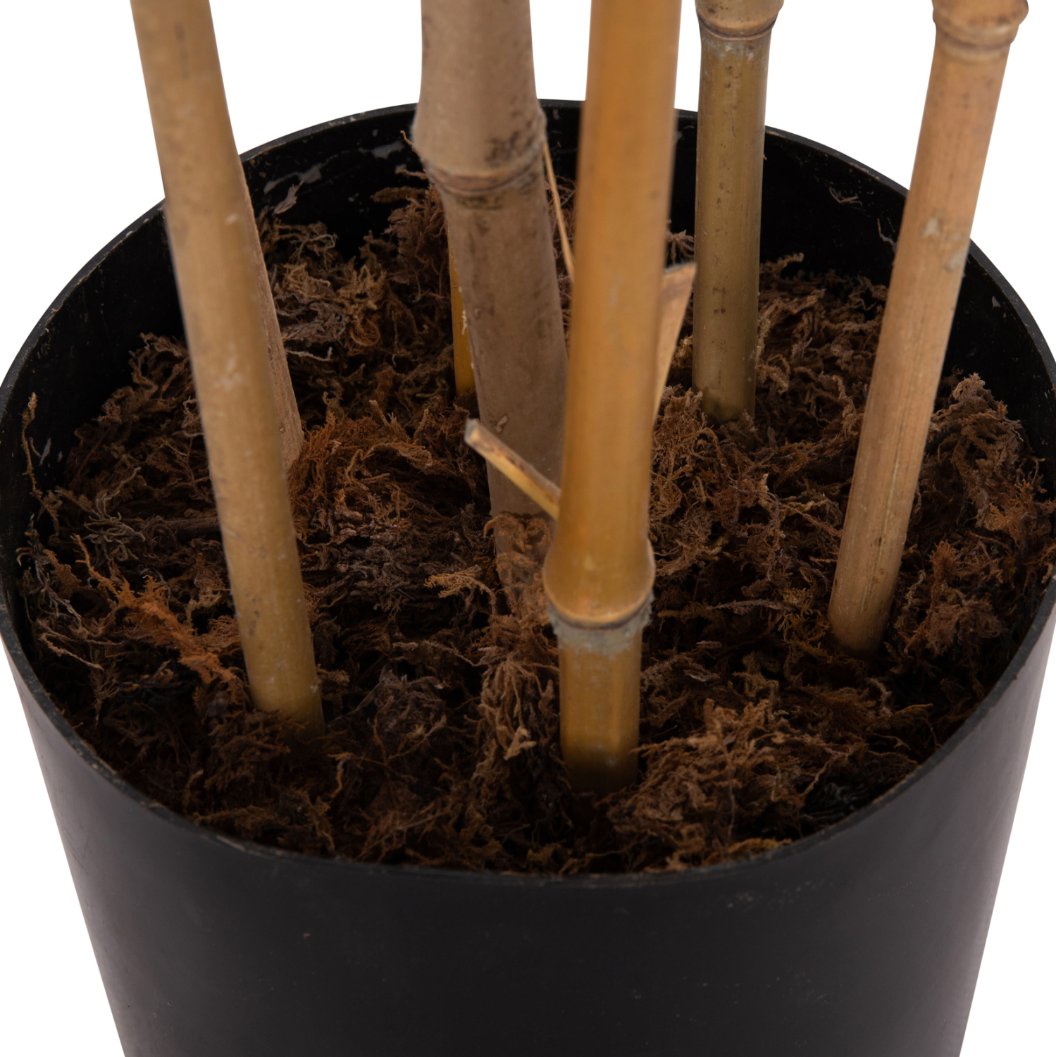 ΔΙΑΚΟΣΜΗΤΙΚΟ ΣΥΝΘΕΤΙΚΟ ΦΥΤΟ HM4737 BAMBOO ΣΕ ΓΛΑΣΤΡΑ 20x95x200Υεκ.