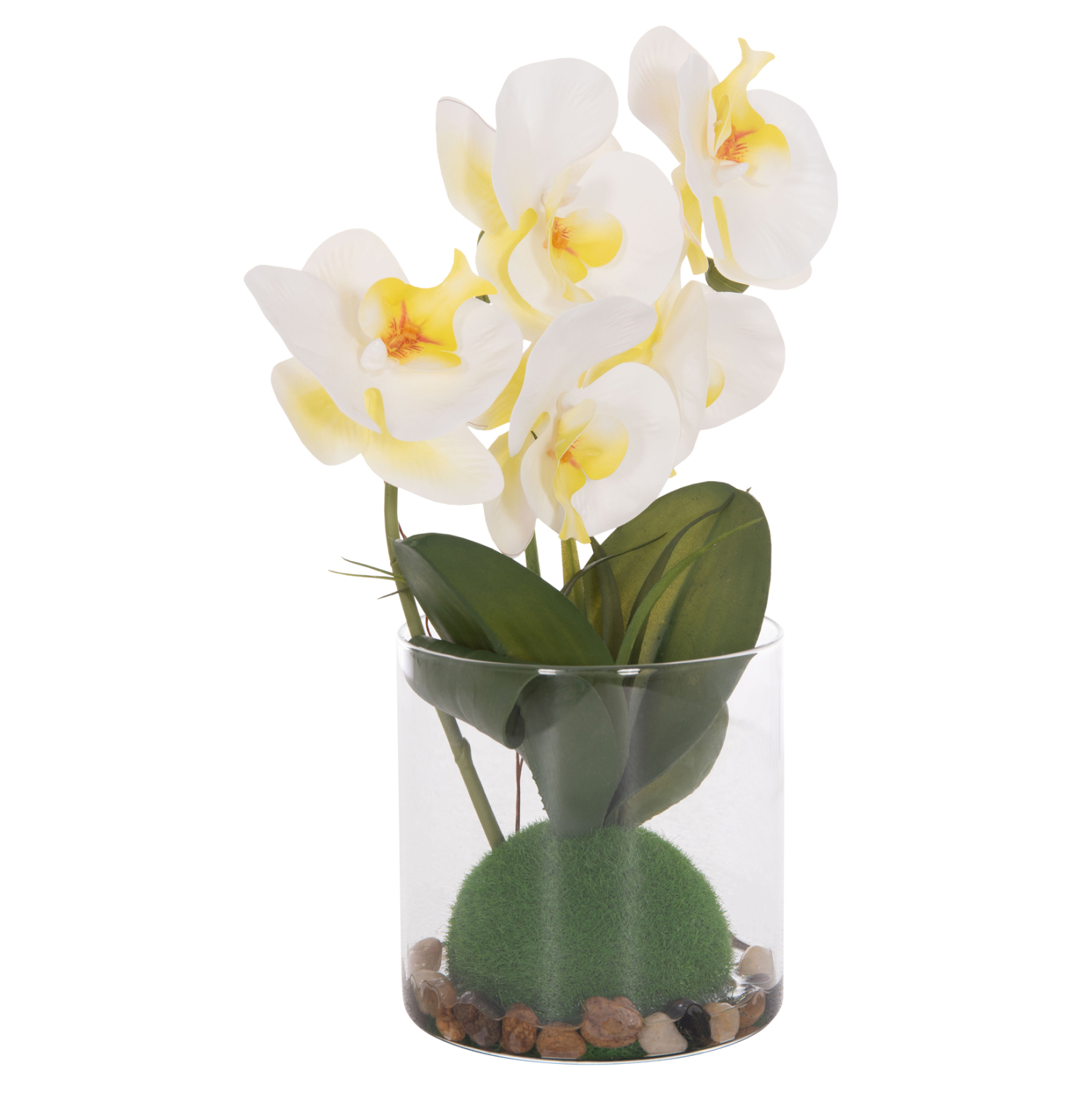 ΔΙΑΚΟΣΜΗΤΙΚΟ ΣΥΝΘΕΤΙΚΟ ΦΥΤΟ HM4738 ΛΟΥΛΟΥΔΙ PHALAENOPSIS ΣΕ ΓΥΑΛΙΝΟ ΒΑΖΟ 12x24x30Υεκ