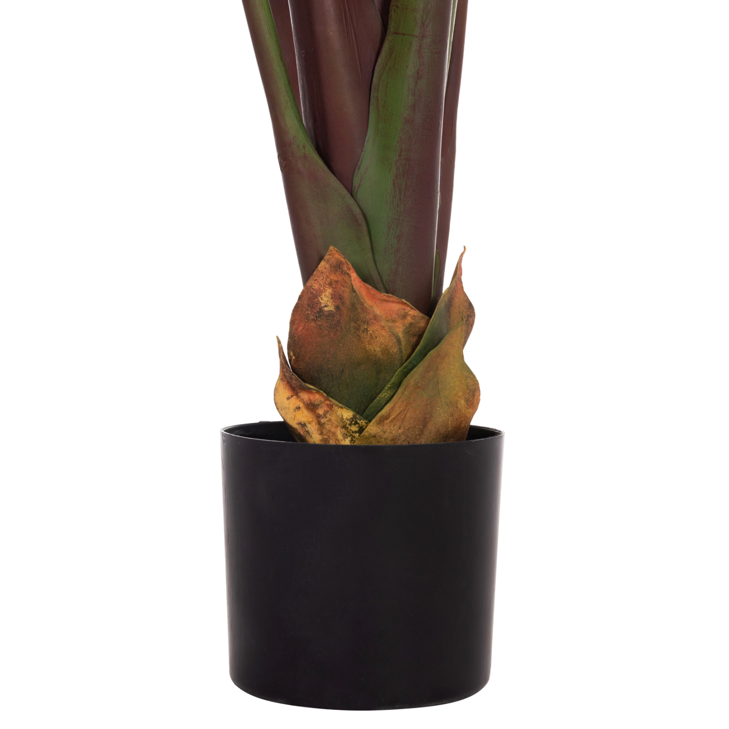 ΔΙΑΚΟΣΜΗΤΙΚΟ ΣΥΝΘΕΤΙΚΟ ΦΥΤΟ HM4740 ΙΑΠΩΝΙΚΗ ΜΠΑΝΑΝΑ ΣΕ ΓΛΑΣΤΡΑ 85x75x225Υεκ.