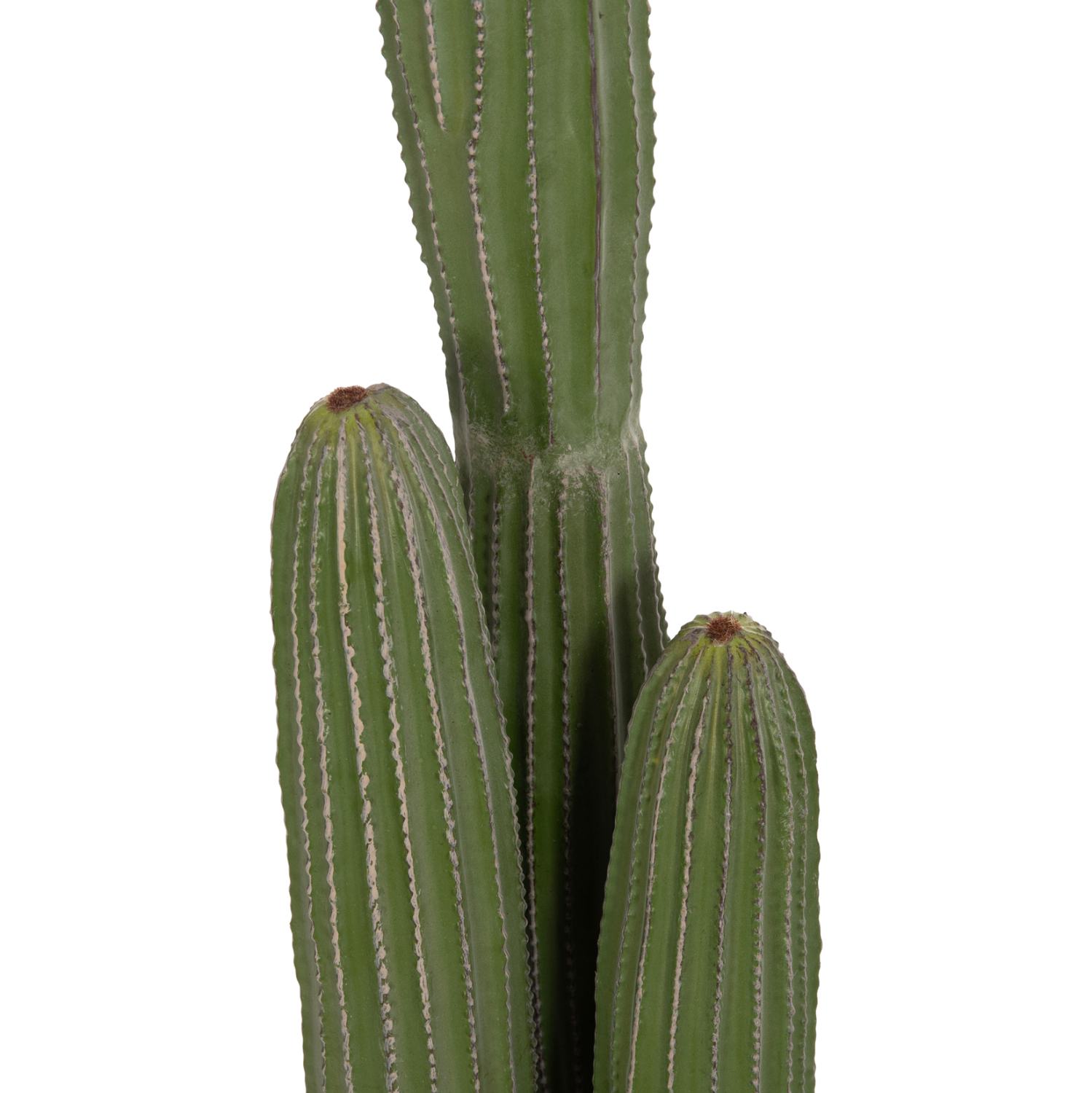 ΔΙΑΚΟΣΜΗΤΙΚΟ ΣΥΝΘΕΤΙΚΟ ΦΥΤΟ HM4745 ΚΑΚΤΟΣ ΜΕ ΓΛΑΣΤΡΑ Φ17,5x144Υεκ.