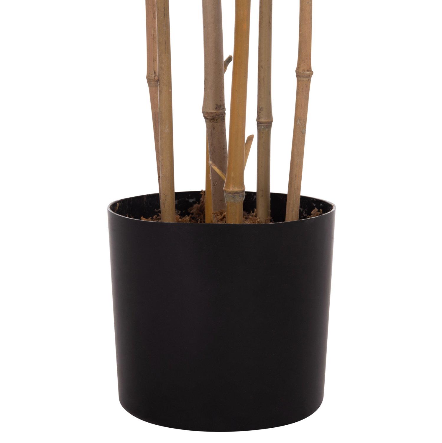 ΔΙΑΚΟΣΜΗΤΙΚΟ ΣΥΝΘΕΤΙΚΟ ΦΥΤΟ HM4736 BAMBOO ΣΕ ΓΛΑΣΤΡΑ 20x95x180Υεκ.