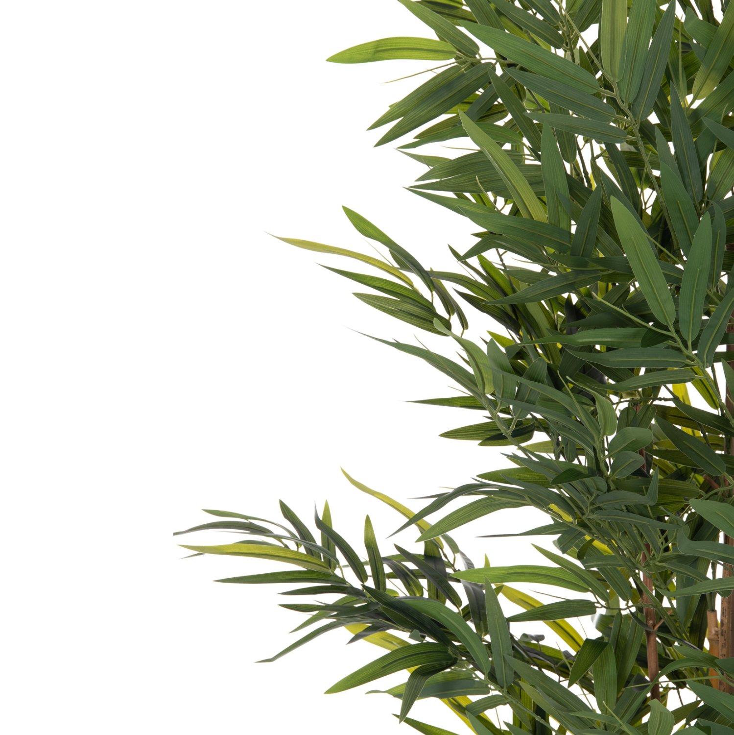 ΔΙΑΚΟΣΜΗΤΙΚΟ ΣΥΝΘΕΤΙΚΟ ΦΥΤΟ HM4736 BAMBOO ΣΕ ΓΛΑΣΤΡΑ 20x95x180Υεκ.