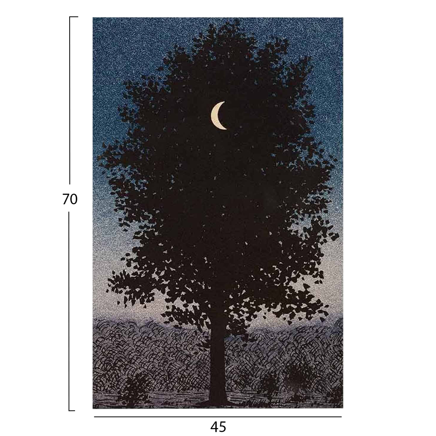 ΠΙΝΑΚΑΣ TOIXOY ΣΕΙΡΑ GOBI HM4850 ΕΚΤΥΠΩΜΕΝΟΣ ΚΑΜΒΑΣ 45x3(πάχος)x70Yεκ.