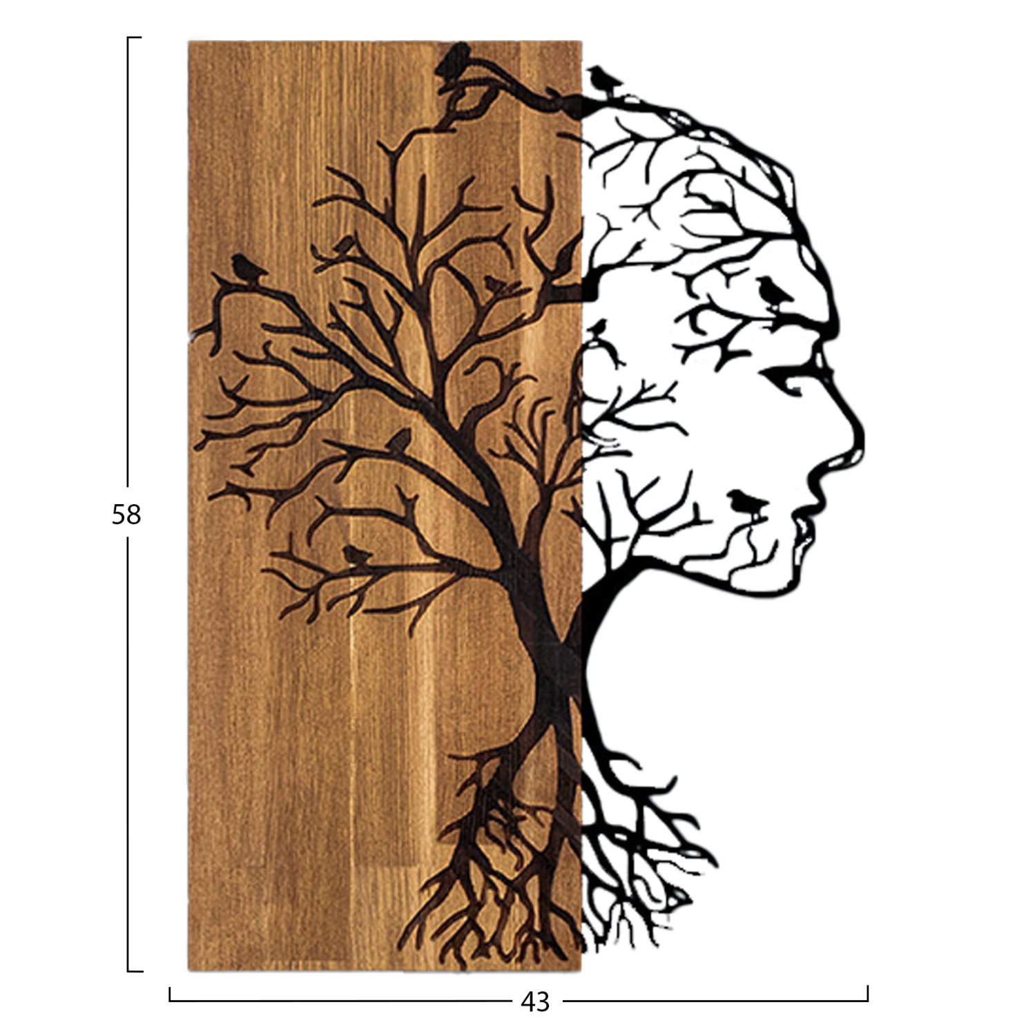 ΔΙΑΚΟΣΜΗΤΙΚΟ ΤΟΙΧΟΥ ΟΨΗ ΓΥΝΑΙΚΑΣ HM4754-ΜΕΤΑΛΛΟ ΜΑΥΡΟ-ΞΥΛΟ 43x3(βάθος)x58Υεκ.