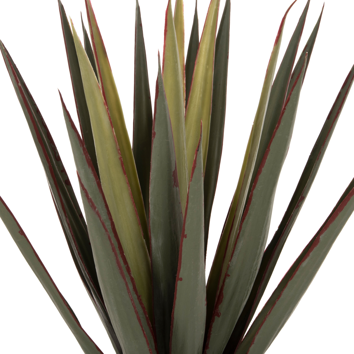 ΔΙΑΚΟΣΜΗΤΙΚΟ ΣΥΝΘΕΤΙΚΟ ΦΥΤΟ HM7985 SISAL AGAVE ΣΕ ΓΛΑΣΤΡΑ Φ13,5x13-76Υεκ.