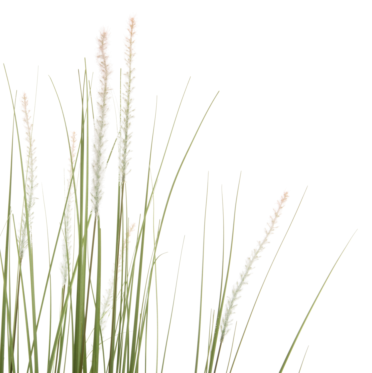 ΔΙΑΚΟΣΜΗΤΙΚΟ ΣΥΝΘΕΤΙΚΟ ΦΥΤΟ HM4017 BRISTLEGRASS ΣΕ ΓΛΑΣΤΡΑ 173Υεκ.